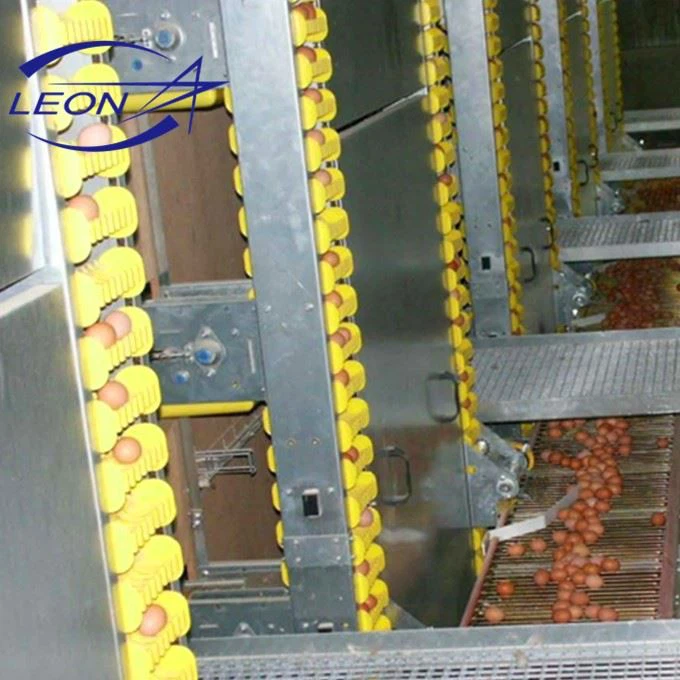 A Type Cages For Layer Chicken Farm A Type Cages For Layer Chicken Farm