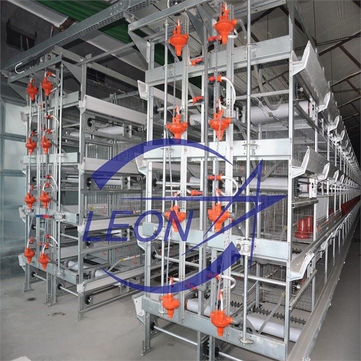 Broiler Chicken Cage