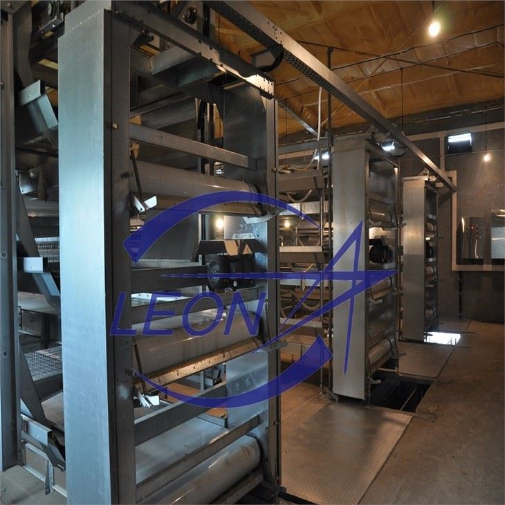 Broiler Chicken Cage