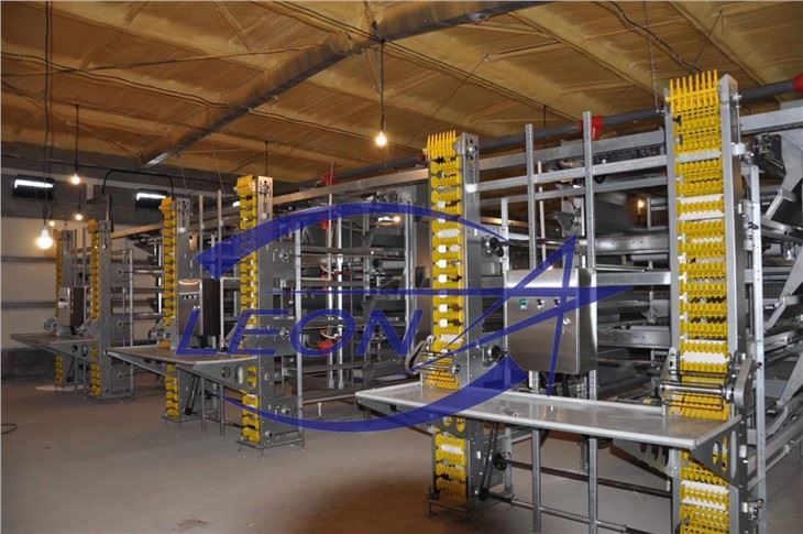 Broiler Chicken Cage
