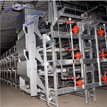 Kycklingbur H Typ Broiler House System Fjäderfäodling