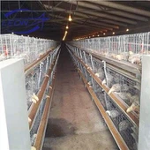 Broiler bur