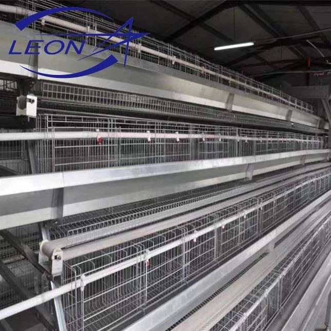 Type A Layer Cage