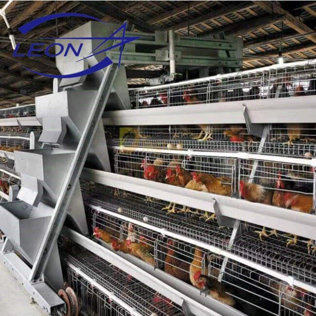 Type A Layer Cage