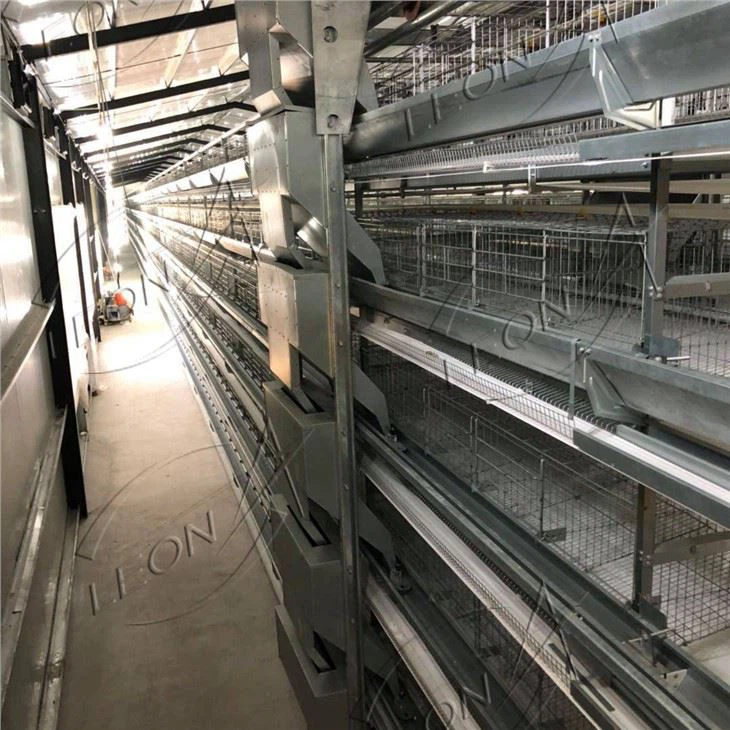 Farming Equipment Chicken Cage H Type Layers House System Farming Equipment Chicken Cage H Type Layers House System