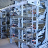 H Typ Broiler Batteri Kycklingburar Fjäderfäfarm